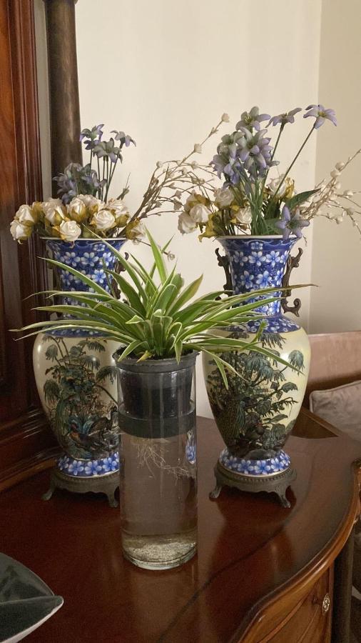 Luxurious 3 Bedroom Rustic Apartment Overlooking Huge Garden - For Families And Couples El El Cairo Exterior foto